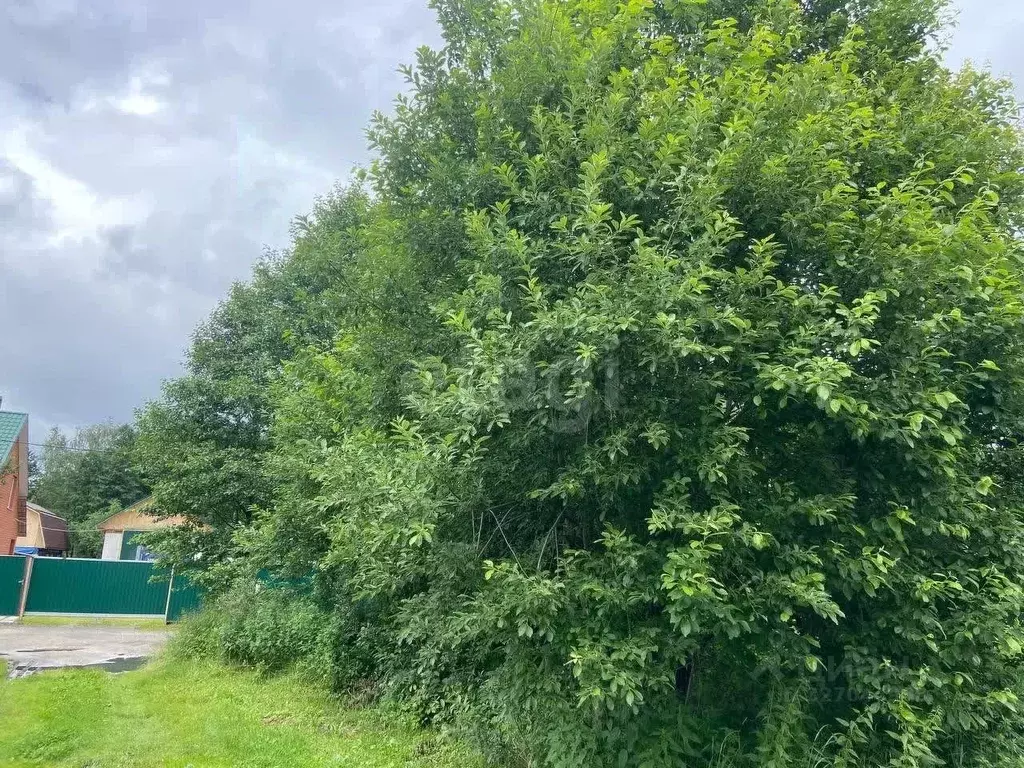 Участок в Московская область, Орехово-Зуевский городской округ, д. ... - Фото 1