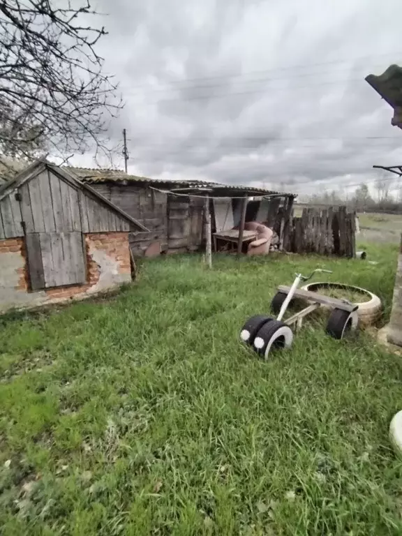 Дом в Волгоградская область, Иловля рп пер. Фестивальный, 14/2 (25 м) - Фото 2