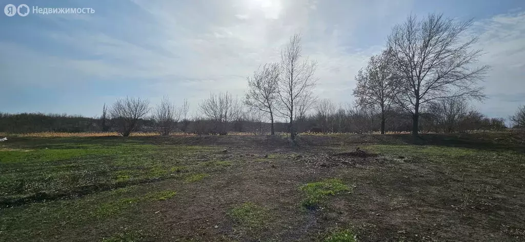 Участок в Новомаргаритово, Садовая улица, 9 (25 м) - Фото 0