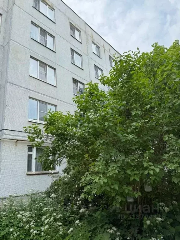 2-к кв. Новгородская область, Чудово ул. Солдатова, 2 (53.0 м) - Фото 1