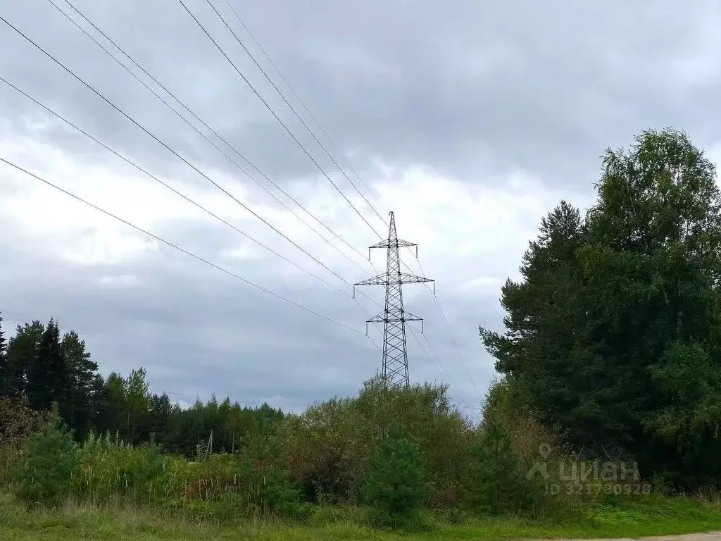 Участок в Кировская область, Кирово-Чепецкий район, Пасеговское с/пос, ... - Фото 2