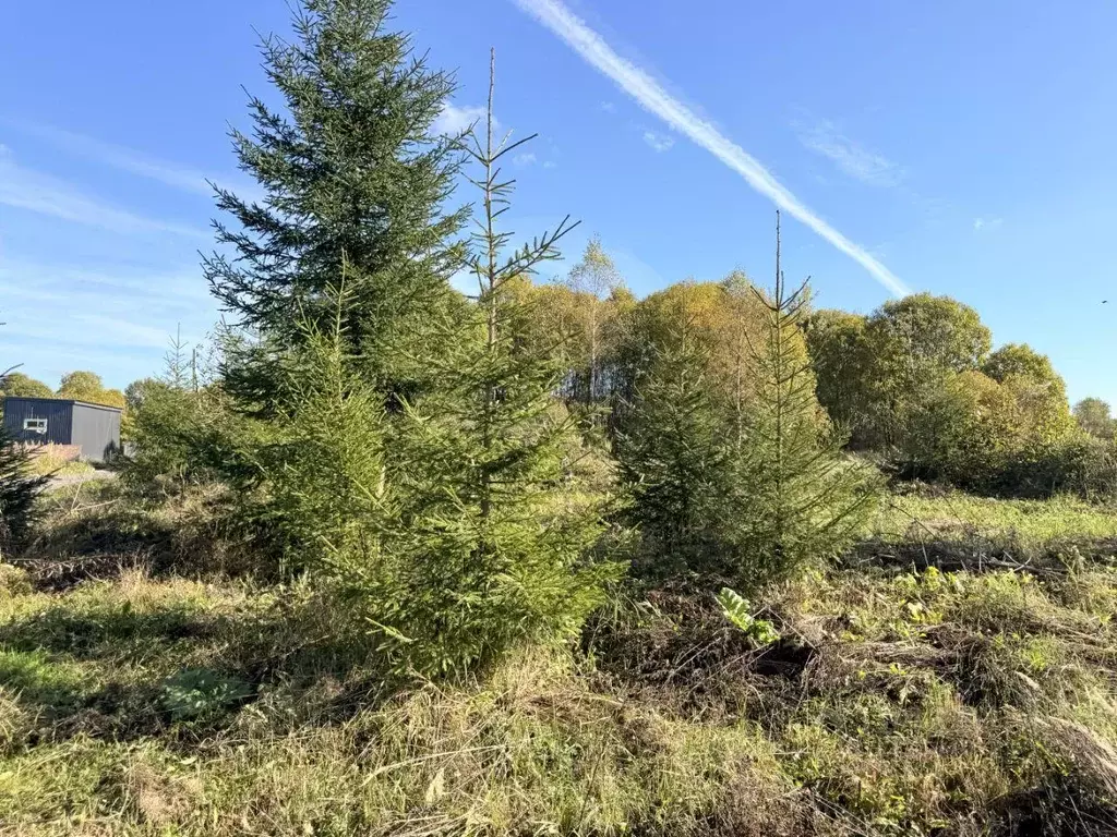 Участок, 7.5 сот., сельхоз (снт или днп) - Фото 1