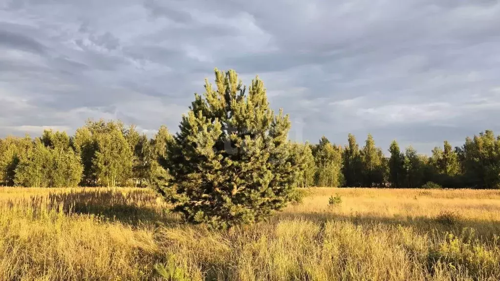 Участок в Московская область, Электросталь городской округ, д. Есино  ... - Фото 0
