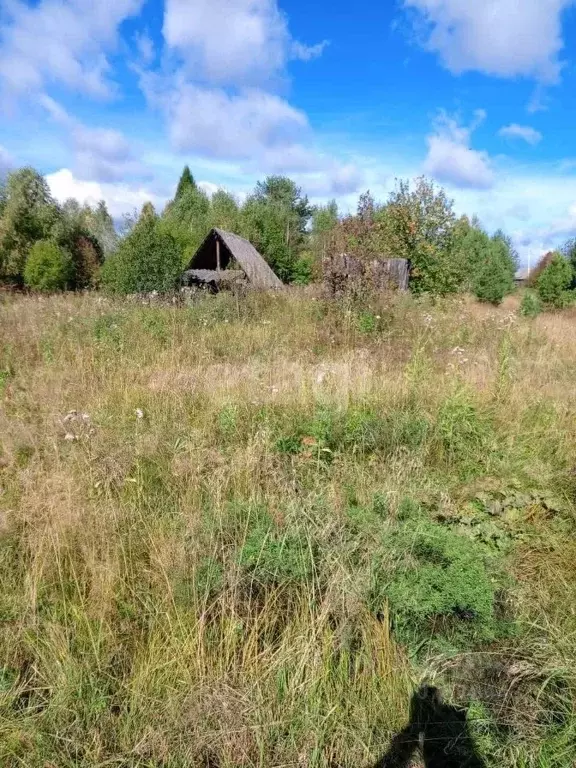 Участок в Свердловская область, Нижний Тагил городской округ, с. ... - Фото 0