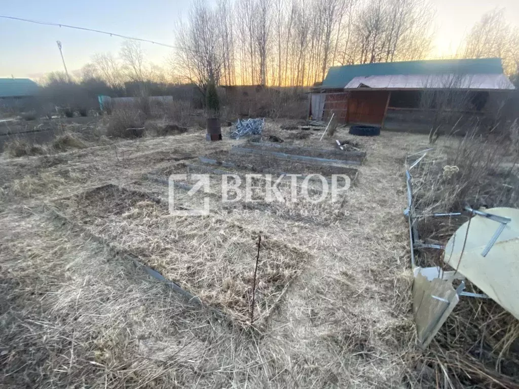 Дом в Костромская область, Кострома Березка-3 СНТ, 72 (12 м) - Фото 1