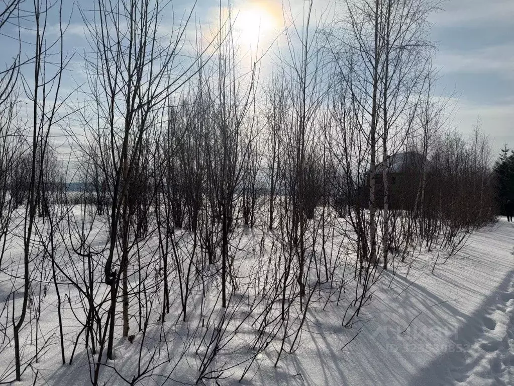 Участок в Пермский край, Добрянский муниципальный округ, с. Красная ... - Фото 2