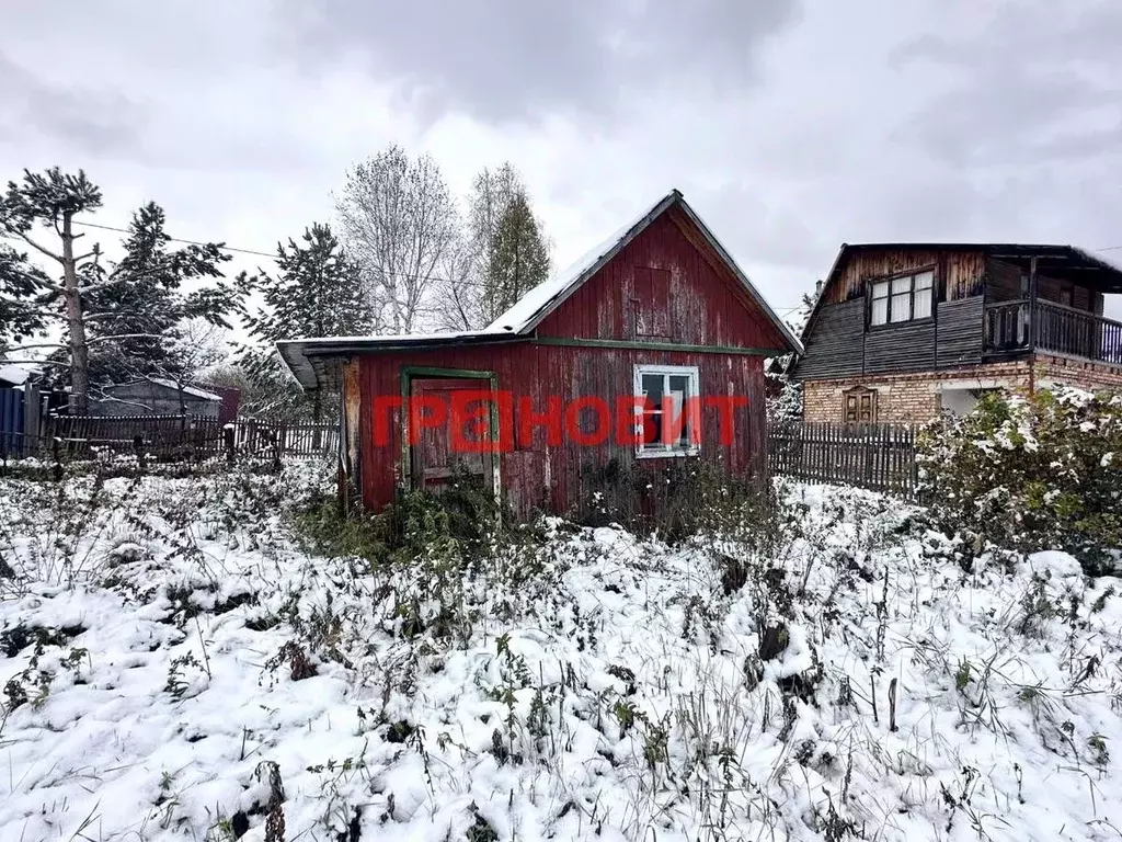 Участок в Новосибирская область, Искитимский район, Мичуринский ... - Фото 1