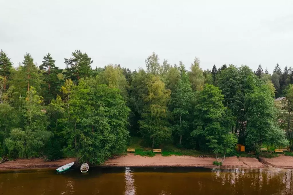 Участок в Ленинградская область, Выборгский район, Приморское ... - Фото 1
