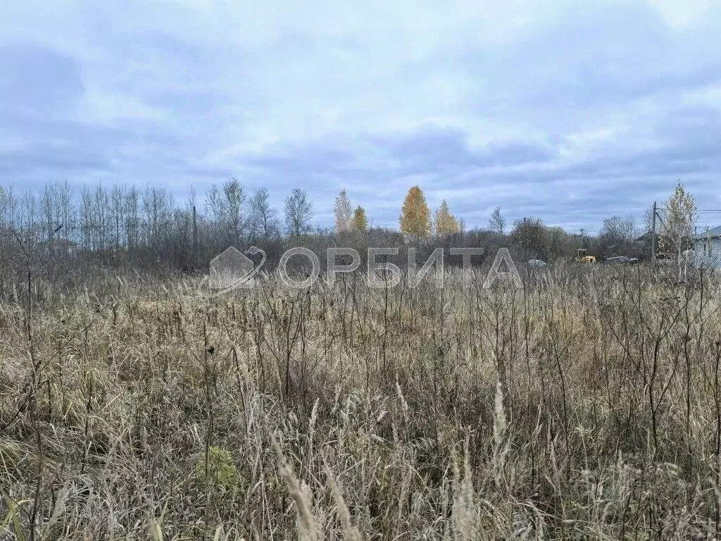 Участок в Тюменская область, Тюмень Царево садовое товарищество, ул. ... - Фото 1