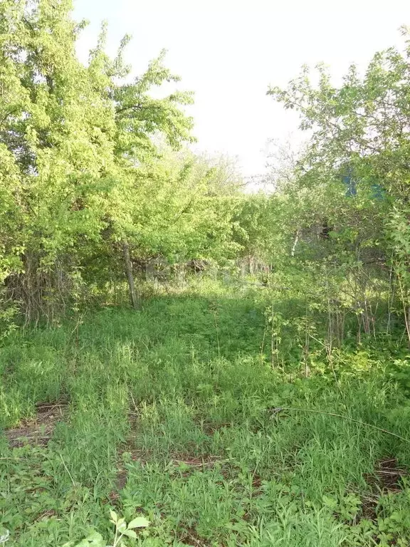 Участок в Московская область, городской округ Подольск, деревня ... - Фото 2