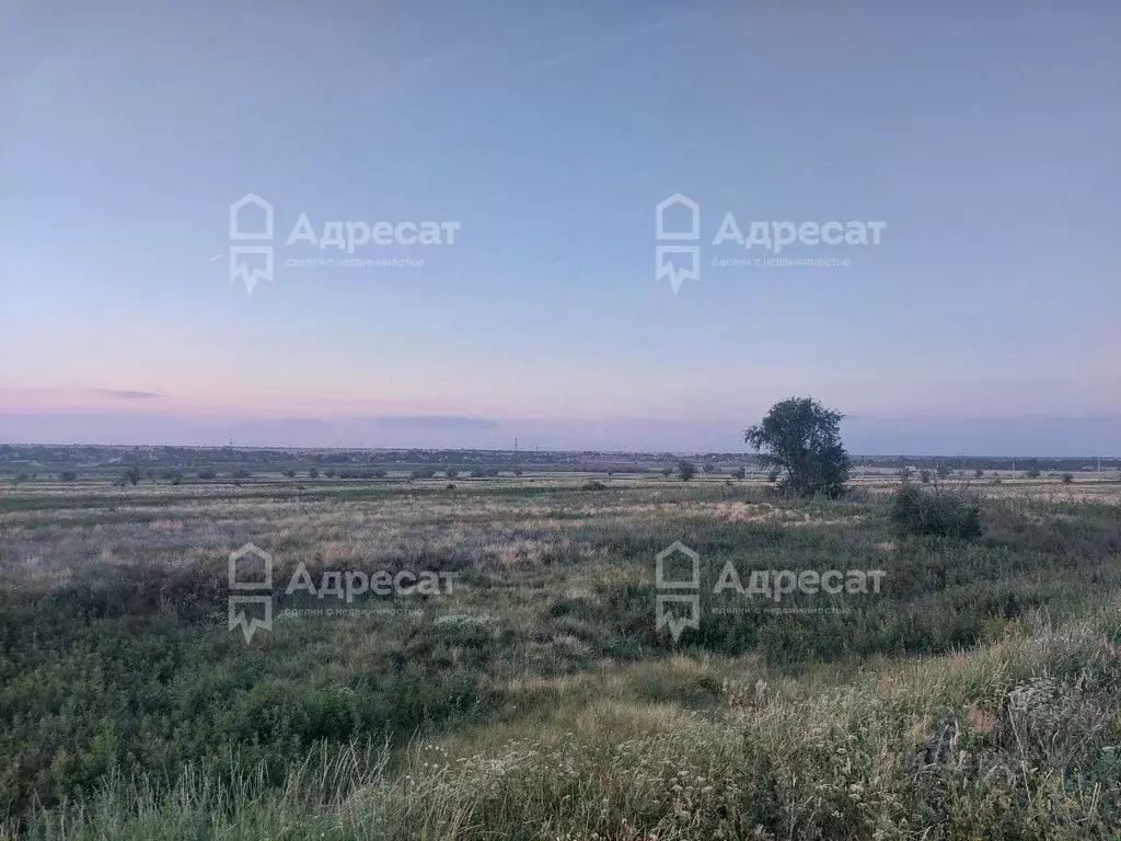 Участок в Волгоградская область, Волгоград ул. Ясногорская (8.72 сот.) - Фото 1