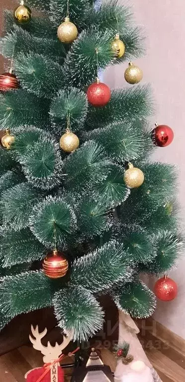 1-к кв. Ярославская область, Ярославль Угличская ул., 21а (32.0 м) - Фото 1