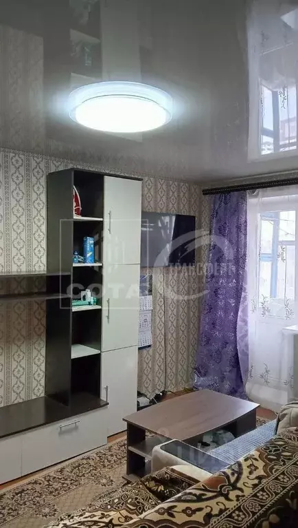 1-к кв. Воронежская область, Воронеж бул. Пионеров, 24 (31.0 м) - Фото 1