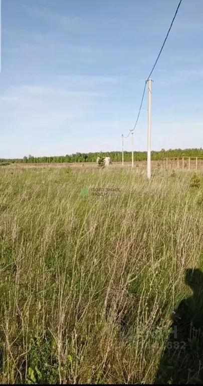 Участок в Курганская область, Кетовский муниципальный округ, с. ... - Фото 2