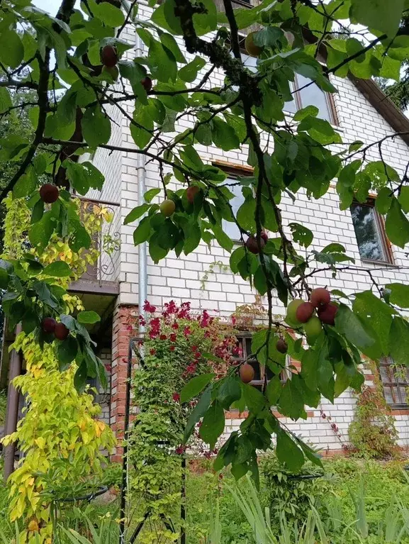 Дом в Ленинградская область, Приозерский район, Сосновское с/пос, ... - Фото 2