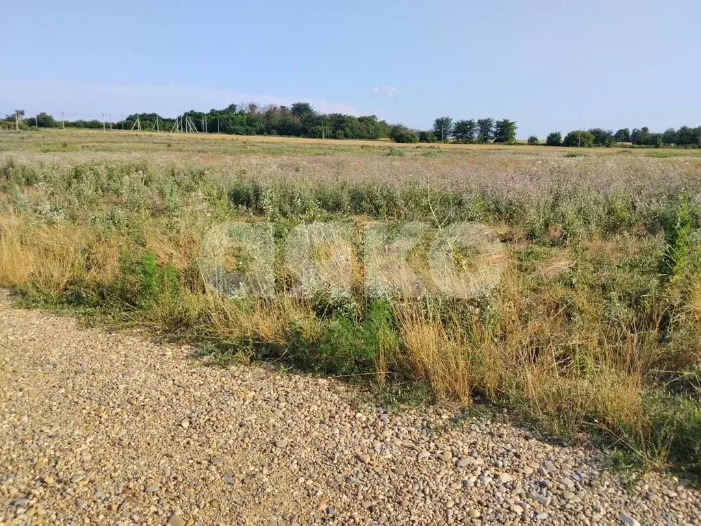 Участок в Краснодарский край, Кореновск 2-й кв-л,  (6.7 сот.) - Фото 1