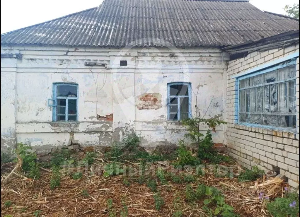 Дом в Рязанская область, Чучково рп ул. Грачева (50 м) - Фото 2