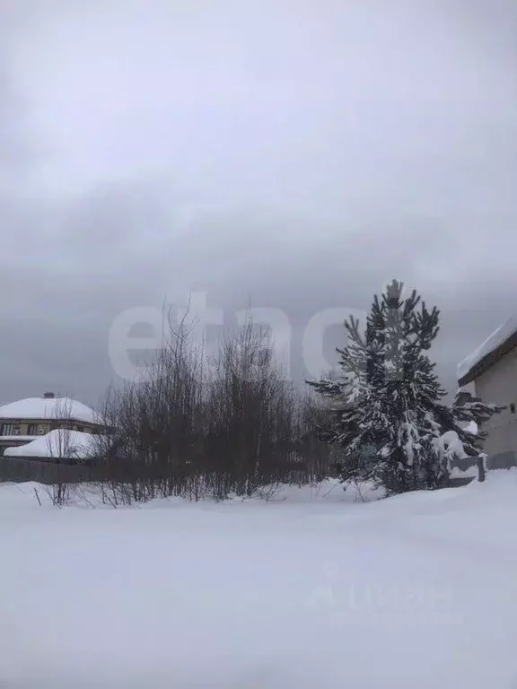 Участок в Пермский край, Пермь Надежда-1 СНТ, 52 (6.0 сот.) - Фото 2