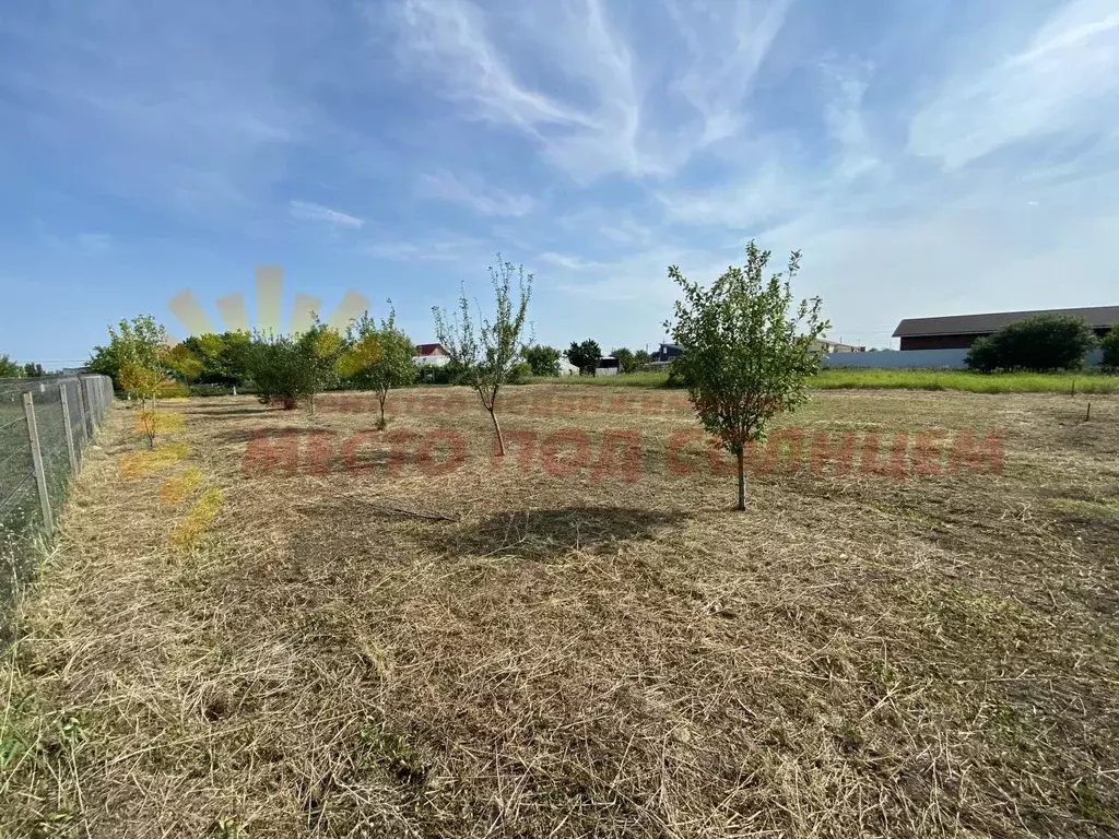 Участок в Краснодарский край, Ейский район, Кухаривское с/пос, с. ... - Фото 1