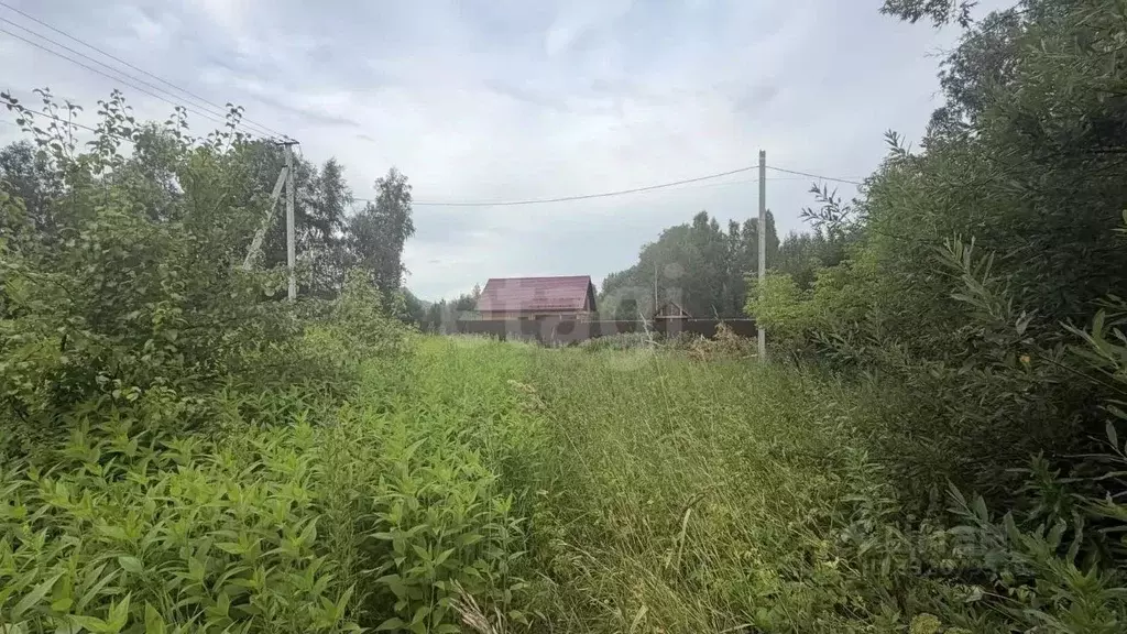 Участок в Алтай, Майминский район, Соузгинское с/пос, пос. Турбаза ... - Фото 1