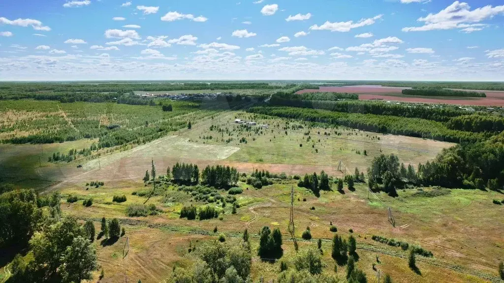 Участок в Курганская область, Кетовский муниципальный округ, ... - Фото 1