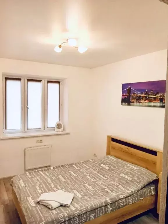 1-к кв. Московская область, Дмитровский муниципальный округ, ... - Фото 1