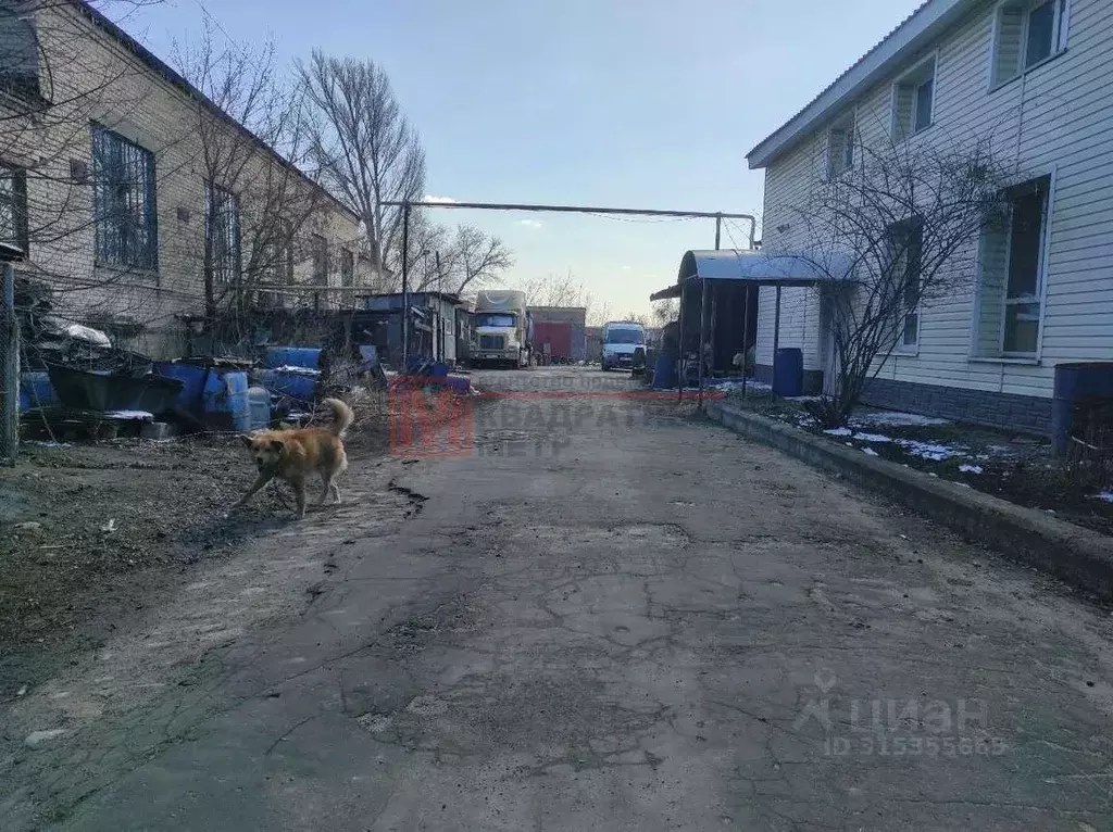 Помещение свободного назначения в Белгородская область, Старый Оскол ... - Фото 1