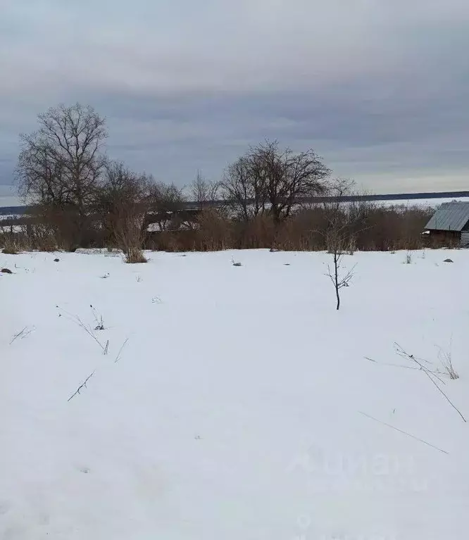 Участок в Калужская область, Дзержинский муниципальный округ, Совхоз ... - Фото 1