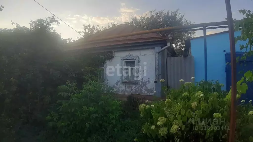 Дом в Белгородская область, Новооскольский муниципальный округ, ... - Фото 0