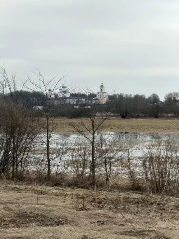Участок в Новгородская область, Новгородский район, Трубичинское ... - Фото 2