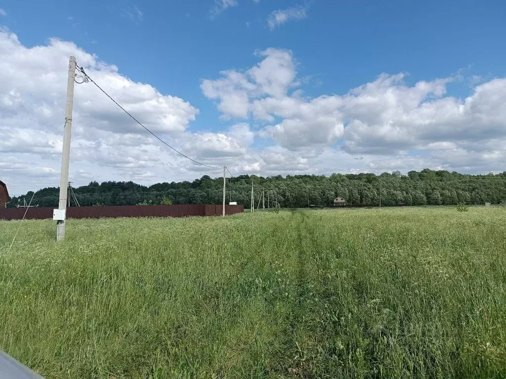 Участок в Новгородская область, Новгородский район, Ермолинское с/пос, ... - Фото 0