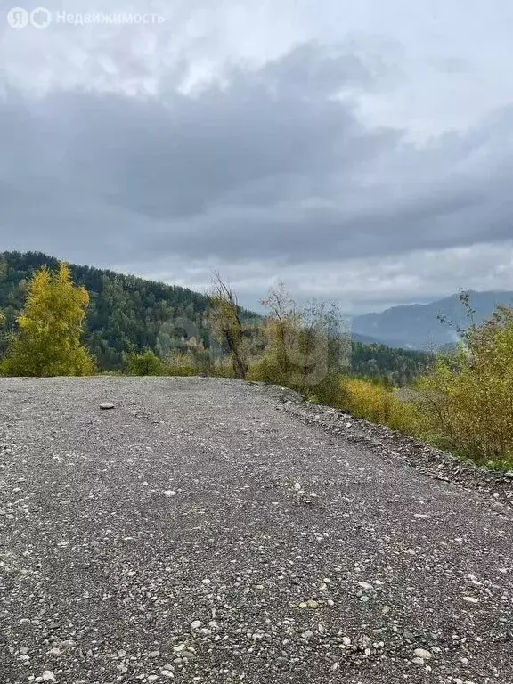 Участок в Манжерокское сельское поселение, село Озёрное, Таёжная улица ... - Фото 2
