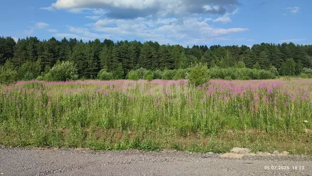 Участок в Свердловская область, Нижний Тагил Южный мкр,  (11.29 сот.) - Фото 1