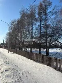 Участок в Бурятия, Кабанский район, с. Сухая Байкальская ул. (211.0 ... - Фото 1
