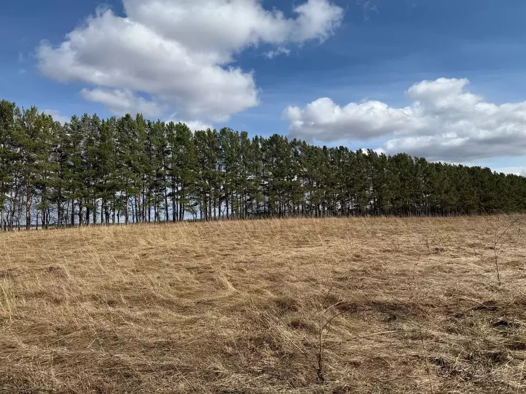 Участок в Красноярский край, Манско-Уярский муниципальный округ, пос. ... - Фото 1