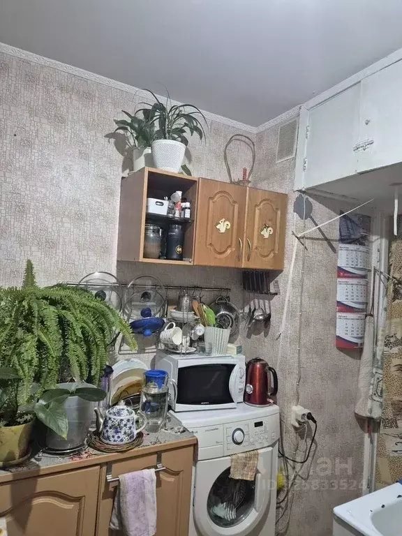 3-к кв. Санкт-Петербург ул. Солдата Корзуна, 3 (60.0 м) - Фото 1