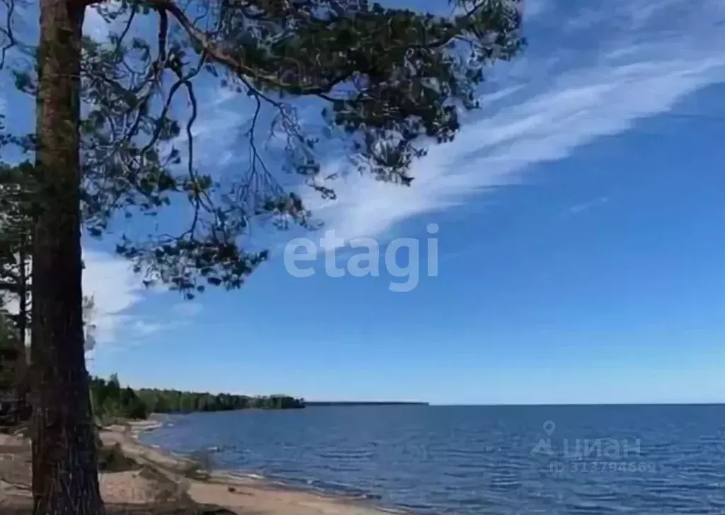 Участок в Ленинградская область, Всеволожский район, Рахьинское ... - Фото 0