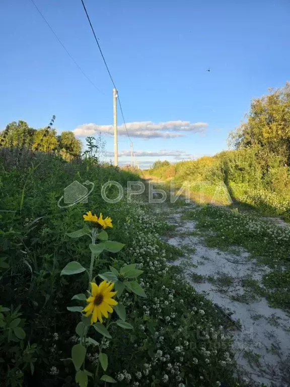 Участок в Тюменская область, Тюмень Большое Царево-1 ТСН,  (9.92 сот.) - Фото 2