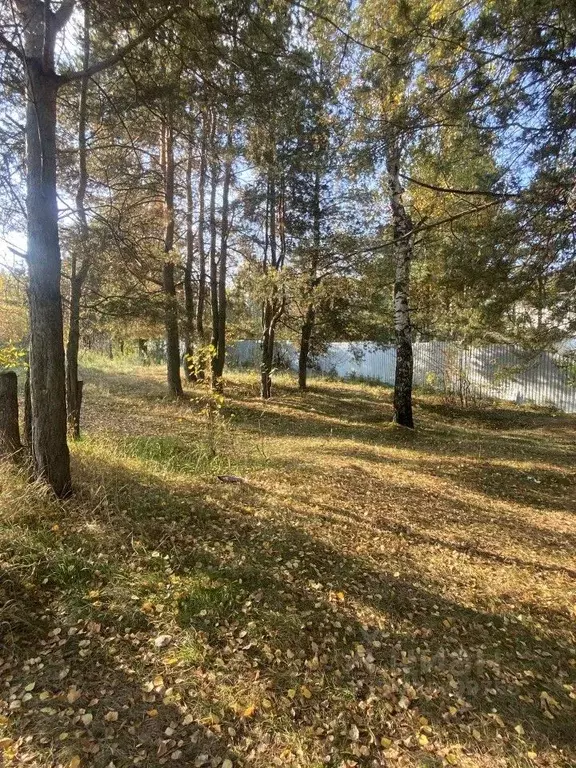 Участок в Свердловская область, Сысертский муниципальный округ, с. ... - Фото 1