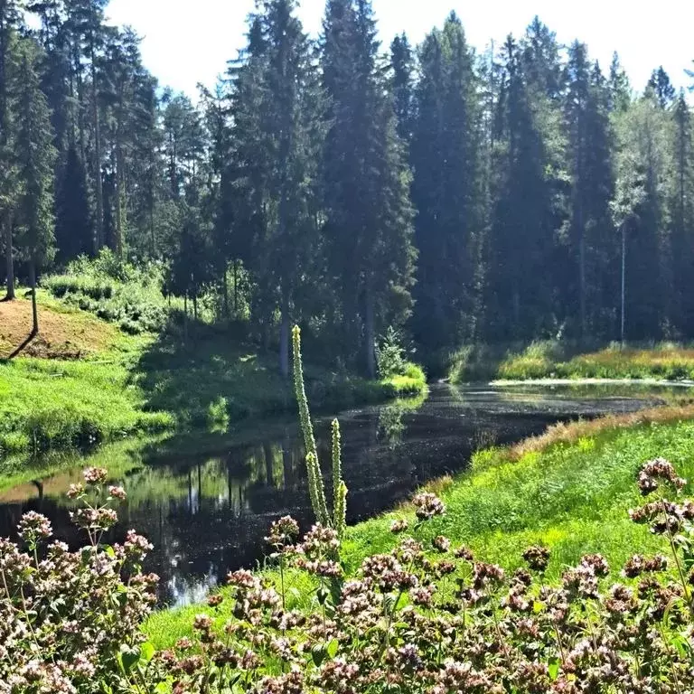 Дом в Ленинградская область, Волховский район, Сясьстройское городское ... - Фото 1