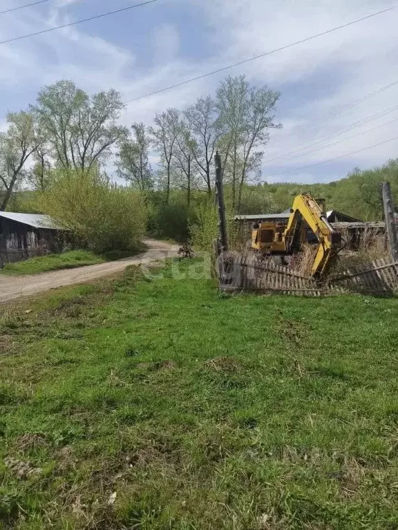 Участок в Алтайский край, Алтайский район, с. Алтайское пер. ... - Фото 2
