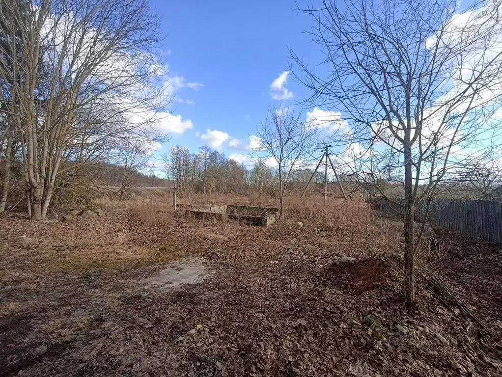 Участок в Ленинградская область, Лужский район, Заклинское с/пос, д. ... - Фото 2