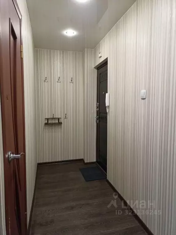 1-к кв. Псковская область, Псков Гражданская ул., 17А (30.7 м) - Фото 2