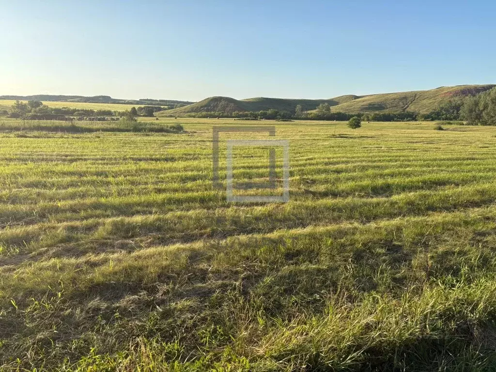Участок в Башкортостан, Стерлитамакский район, д. Рязановка ... - Фото 0