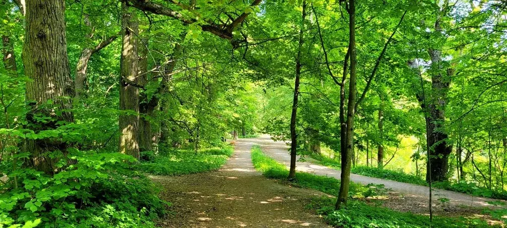 2-к кв. Санкт-Петербург пос. Парголово, Приозерское ш., 9к2 (50.0 м) - Фото 1