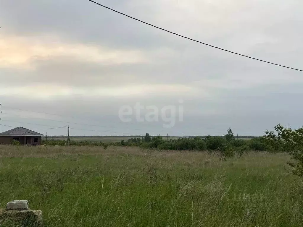 Участок в Липецкая область, Липецкий муниципальный округ, с. Ленино ... - Фото 2