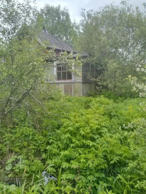 Участок в Новгородская область, Маловишерское городское поселение, д. ... - Фото 2