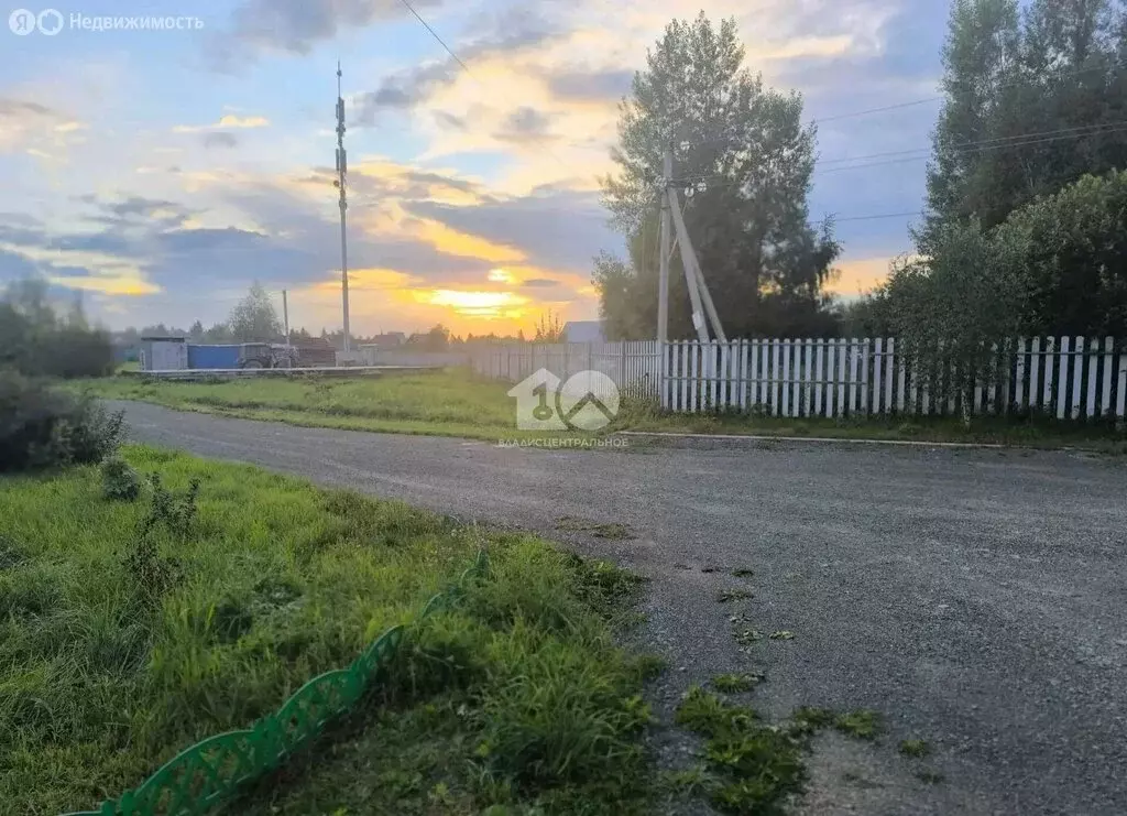 Участок в Колыванский район, Береговая улица, 26 (7.2 м) - Фото 1