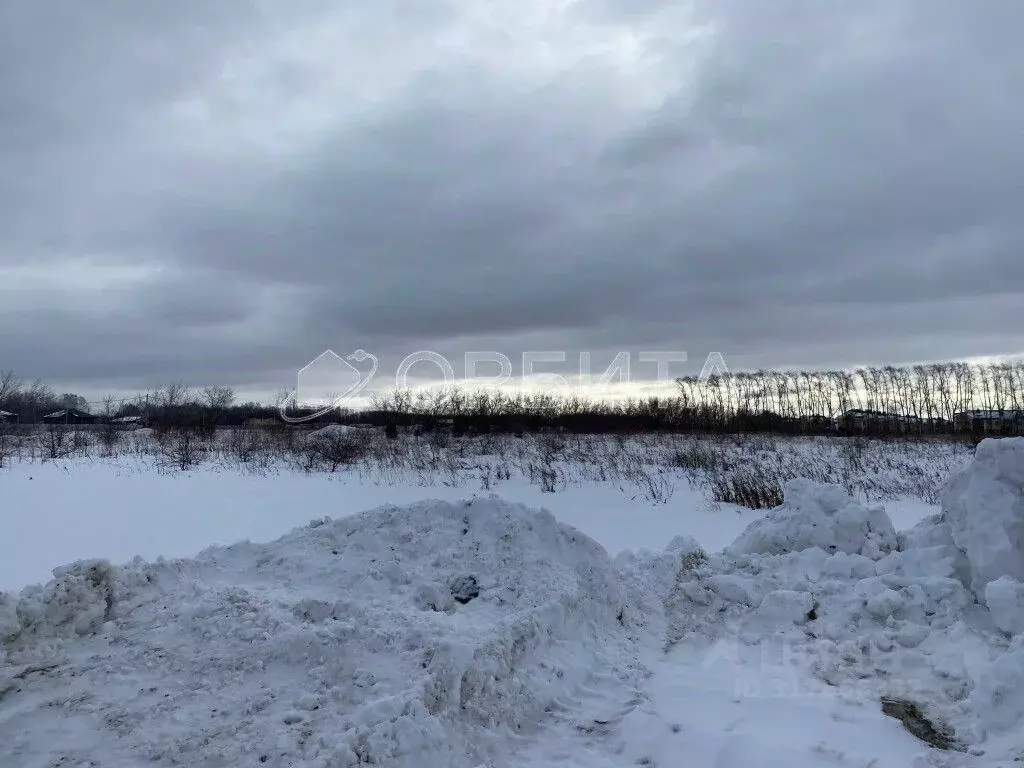 Участок в Тюменская область, Тюменский район, с. Луговое Плодовая ул. ... - Фото 1