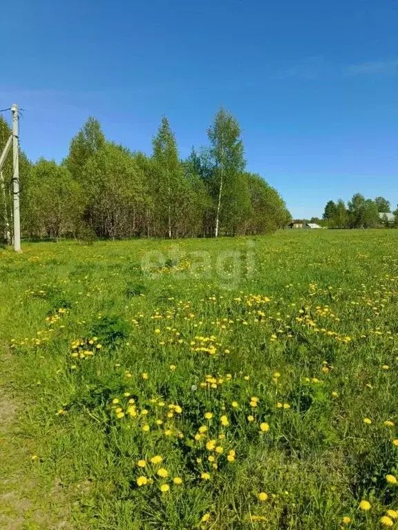 Участок в Вологодская область, Череповецкий район, Югское ... - Фото 0